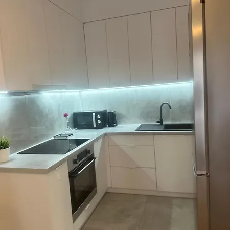 Apartament Zelazny Hgs Home Gorzów Wielkopolski Zewnętrze zdjęcie