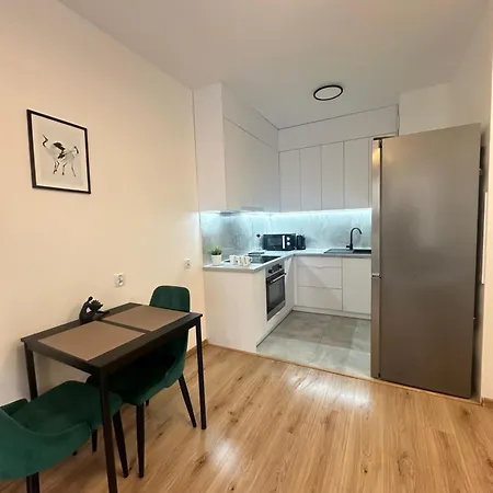 Apartament Zelazny Hgs Home Gorzów Wielkopolski Zewnętrze zdjęcie